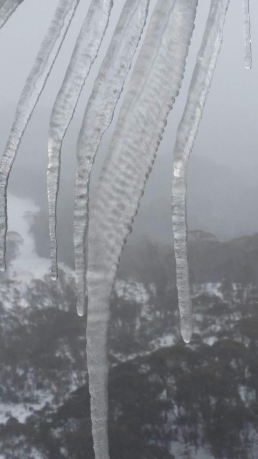 Aneeki Ski Lodge Thredbo Zewnętrze zdjęcie