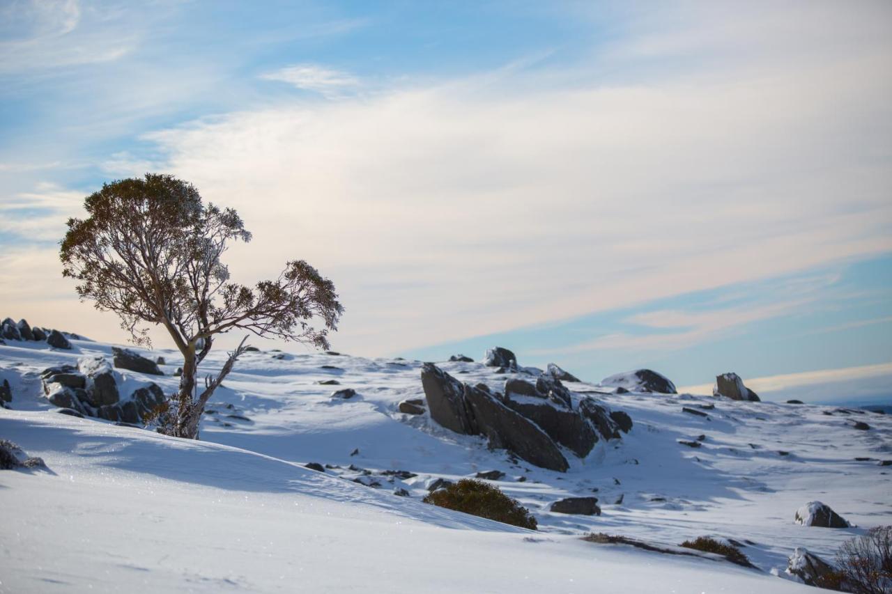 Aneeki Ski Lodge Thredbo Zewnętrze zdjęcie